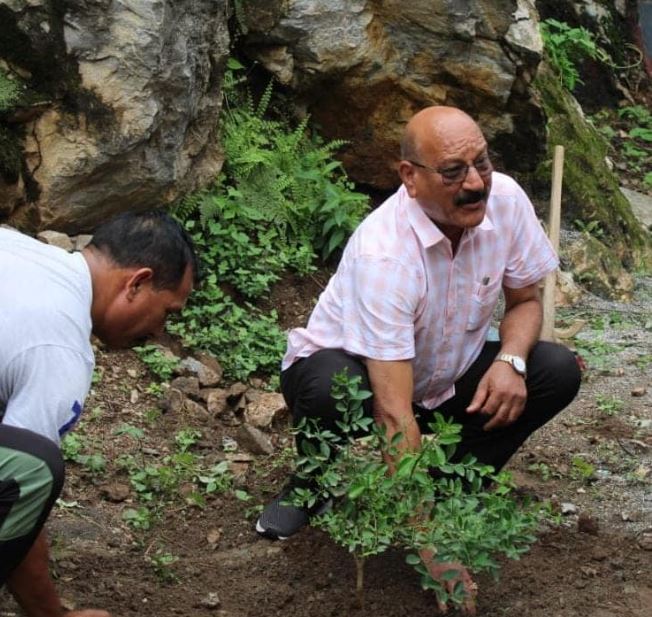 subodh uniyal आज वन महोत्सव सप्ताह का आखिरी दिन, कैबिनेट मंत्री ने किया वृक्षारोपण