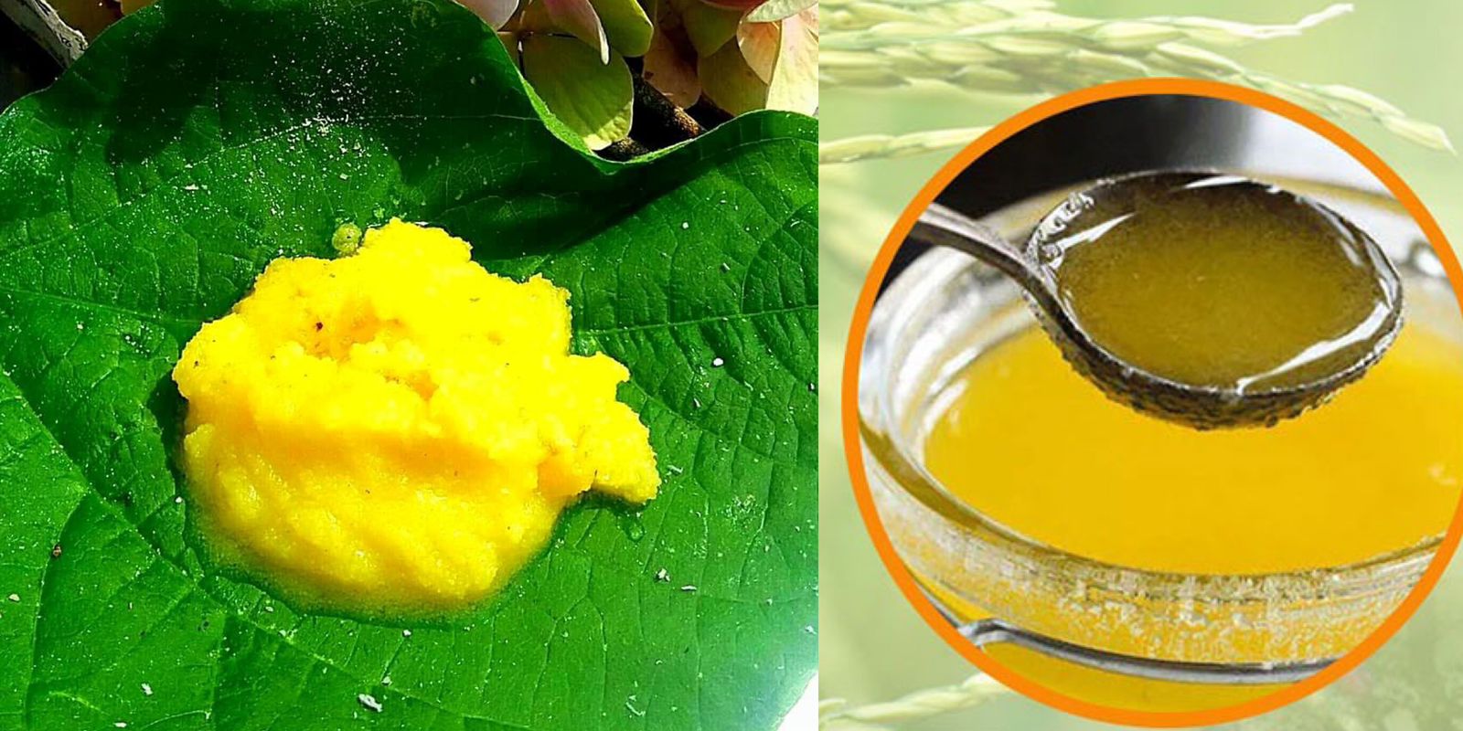 ghee sankranti 2024