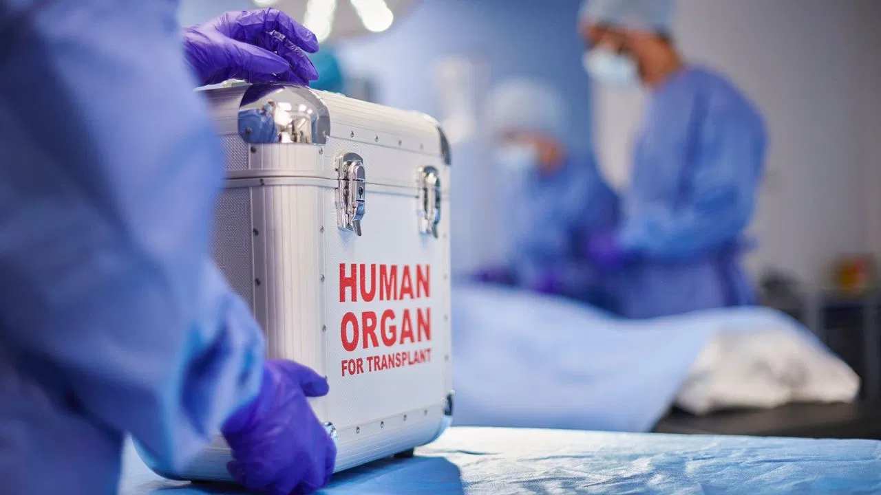 What is the process of body donation? For how long can organs be transplanted?