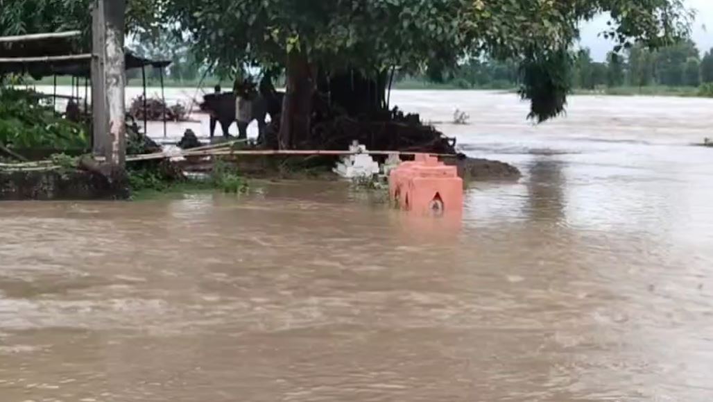 नदी उफान पर