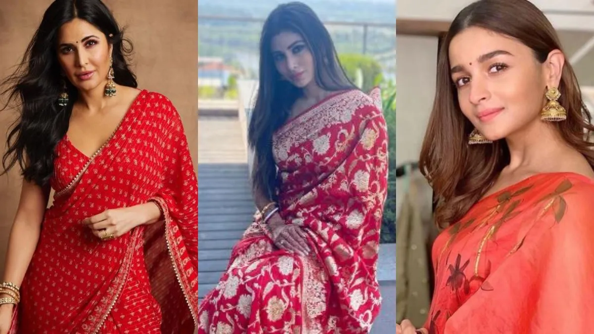 karwa chauth 2024 look in saree