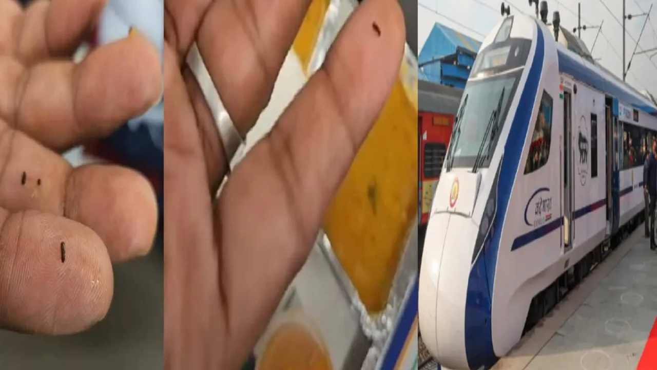 Sambar with insects served in Vande Bharat