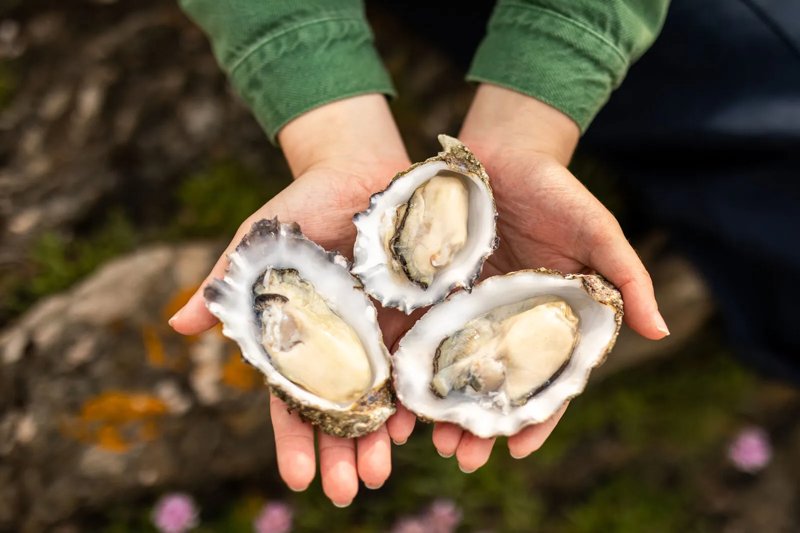 अब सिर्फ 3 मिनट में जुड़ेगी हड्डी!, वैज्ञानिकों ने बना दिया हड्डी जोड़ने वाली गोंद-Bone Glue bone fracture