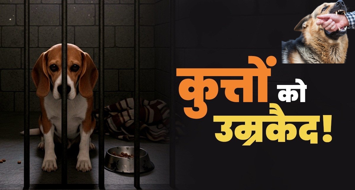 allahabad-stray-dogs-to-get-life-imprisonment-on-second-bite