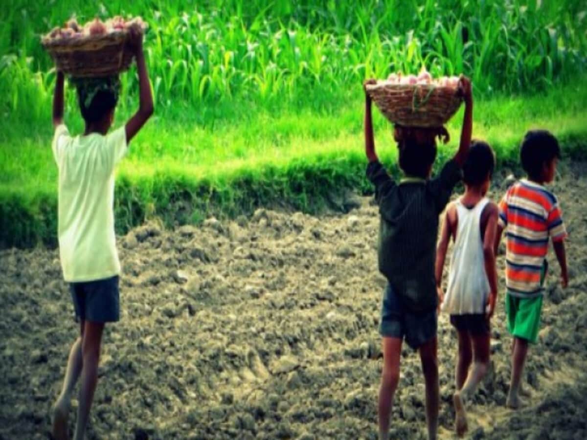देहरादून में स्कूल के बच्चों से मजदूरी कराने का मामला, आरोपी प्रधानाचार्य निलंबित देहरादून में स्कूल के बच्चों से मजदूरी baal majduri