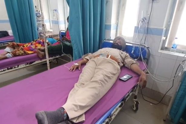 snake attack forest employe in ramnagar
