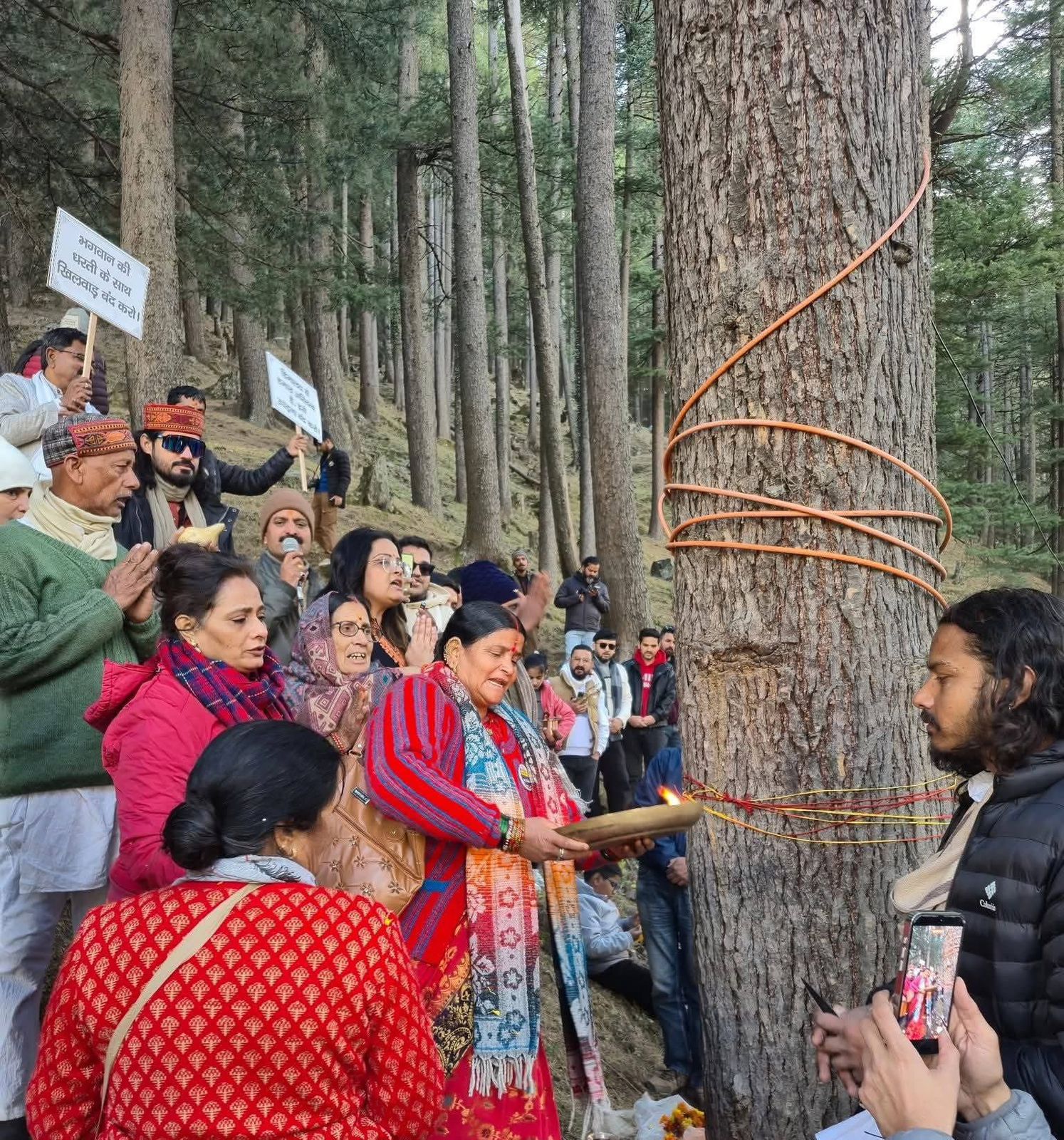 campaign-start-deodar-trees-gangotri-highway