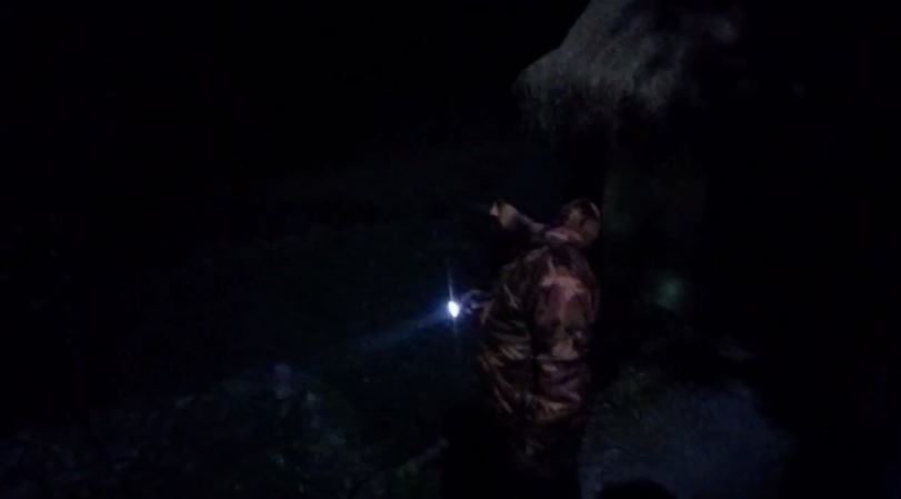 tehri mai guldar or bhalu ka atank