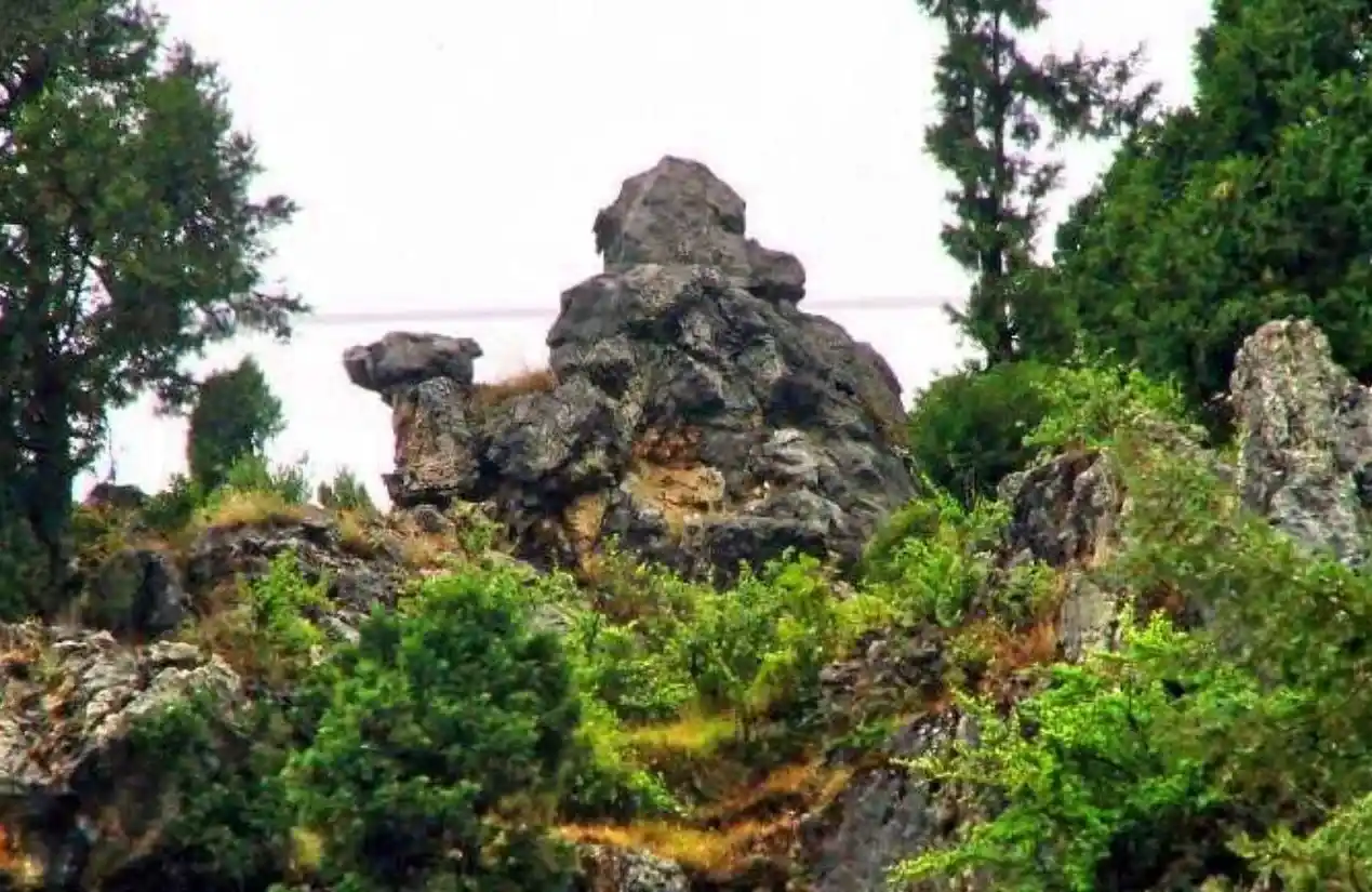 Best Places to visit in Mussoorie