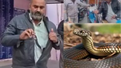 mathura-man-took-live-snake-hospital-video