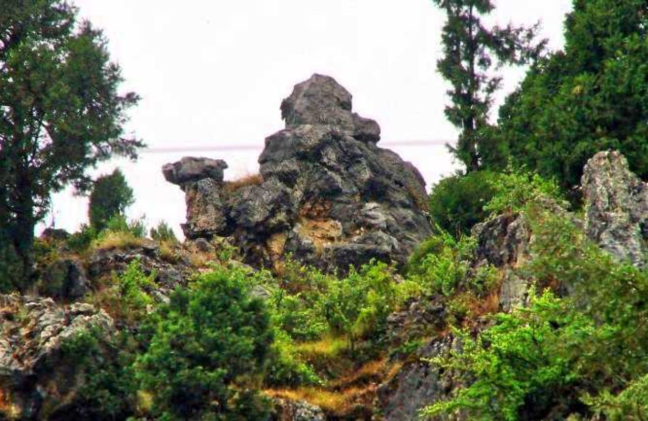 Best Places to visit in Mussoorie