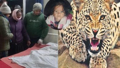 kotdwar-news-leopard-killed-2-year-old