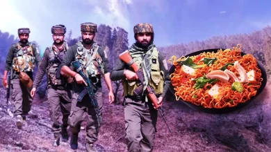 Security Forces Busted Terrorists Bunke