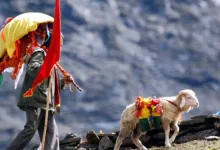 chamoli nanda devi badi jaat yatra date nanda devi rajjat