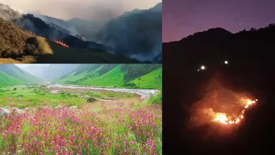 forest-fire-in-valley-of-flowers