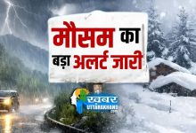 weather alert 1 february