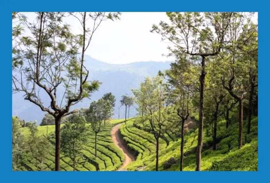 Best hill stations in south india