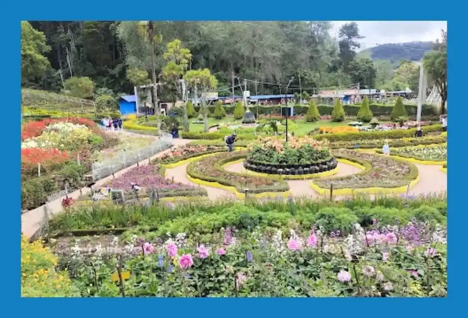 Best hill stations in south india