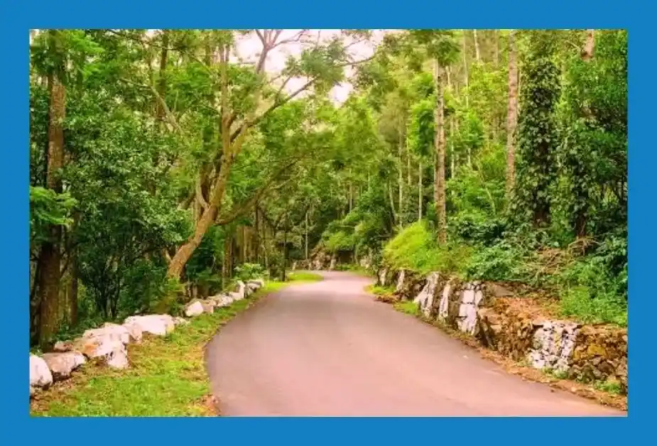 Best hill stations in south india