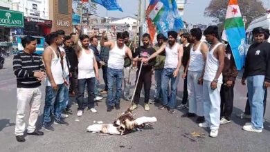 NSUI also staged shirtless protest in Dehradun.
