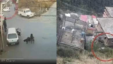 viral video driving lesson gone wrong