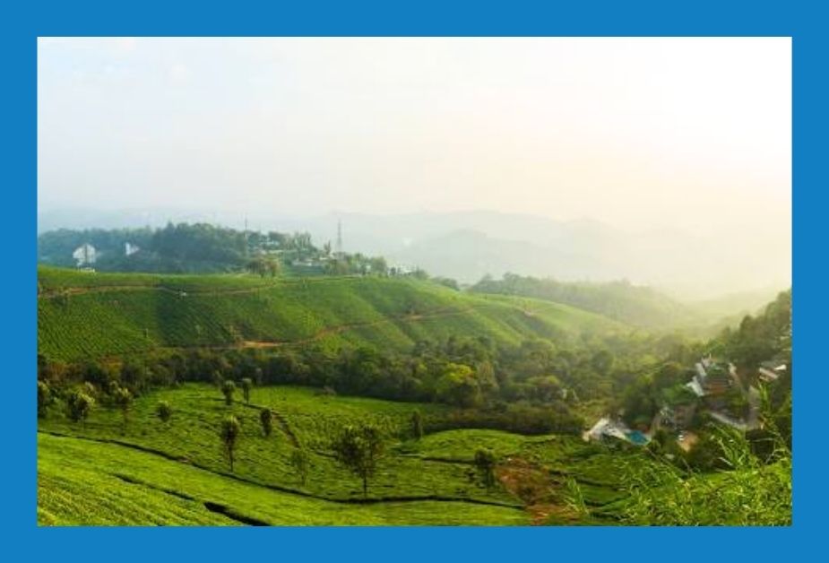 Munnar - one of the best hill stations in south india