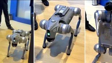 ai-impact-summit-2026-galgotias-university-desi-ai-robot-turns-out-chinese