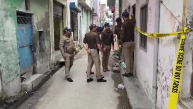 daughte-in-law killed her mother-in-law