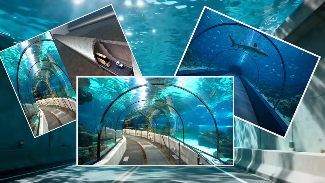 कार और ट्रेन चलेगी एक साथ!, Underwater Twin Tube Road Tunnel से मिनटों में होगा घंटों के सफर india to get its first underwater-twin-tube-road-tunnel in assam