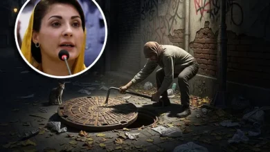 pakistani's are stealing sewer covers