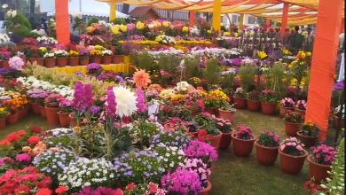 vasantotsav-starts-today