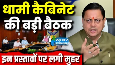 Dhami cabinet decisions