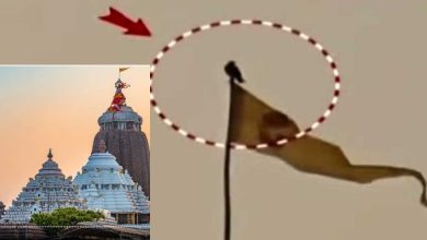 Hawk on Puri Jagannath Temple Flag