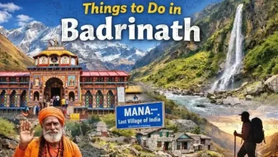 things to do in badrinath