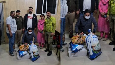 STF raids medical store in Gadarpur drugs recovered