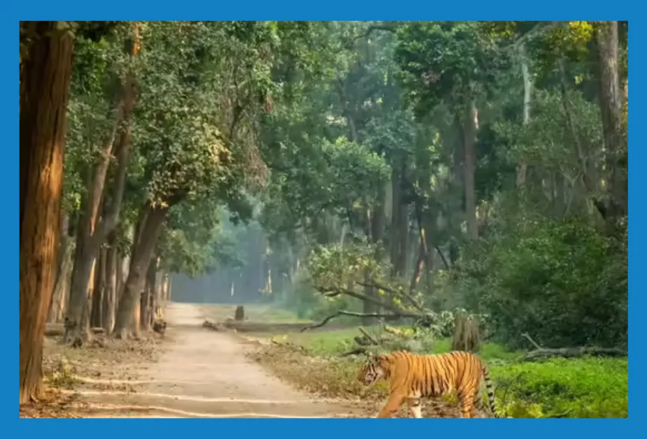 Place to Visit in March in India