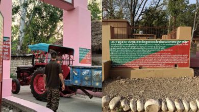 Khajandas's Son's Wedding in Rajaji Tiger Reserve