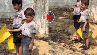 bacche--at-their-mother-grave-holding-report-cards