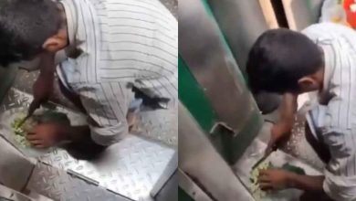viral-video-train-dirty-toilet-floor-food