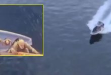 iran-seized-india-bound-ship-in-hormuz