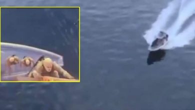 iran-seized-india-bound-ship-in-hormuz