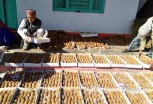 migration-from-bageshwar-is-on-the-decline