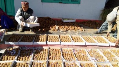 migration-from-bageshwar-is-on-the-decline