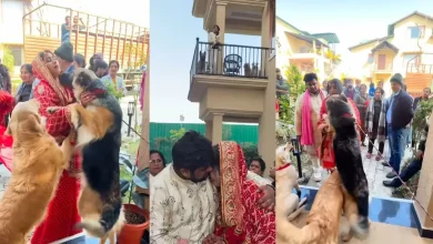 dehradun-bride-emotional-video-with-pet-dogs