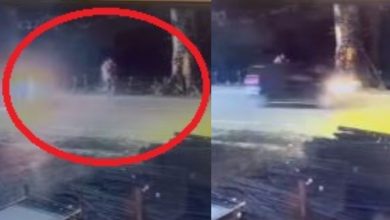 haldwani road accident