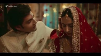 jio-hotstar-series-chiraiya wedding-night-scene