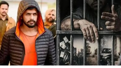 zee5-cant-release-lawrence-of-punjab-docuseries-delhi hc