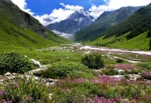 valley-of-flowers-chamoli-