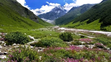 valley-of-flowers-chamoli-