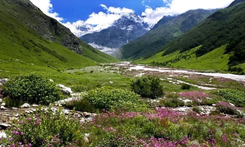 valley-of-flowers-chamoli-